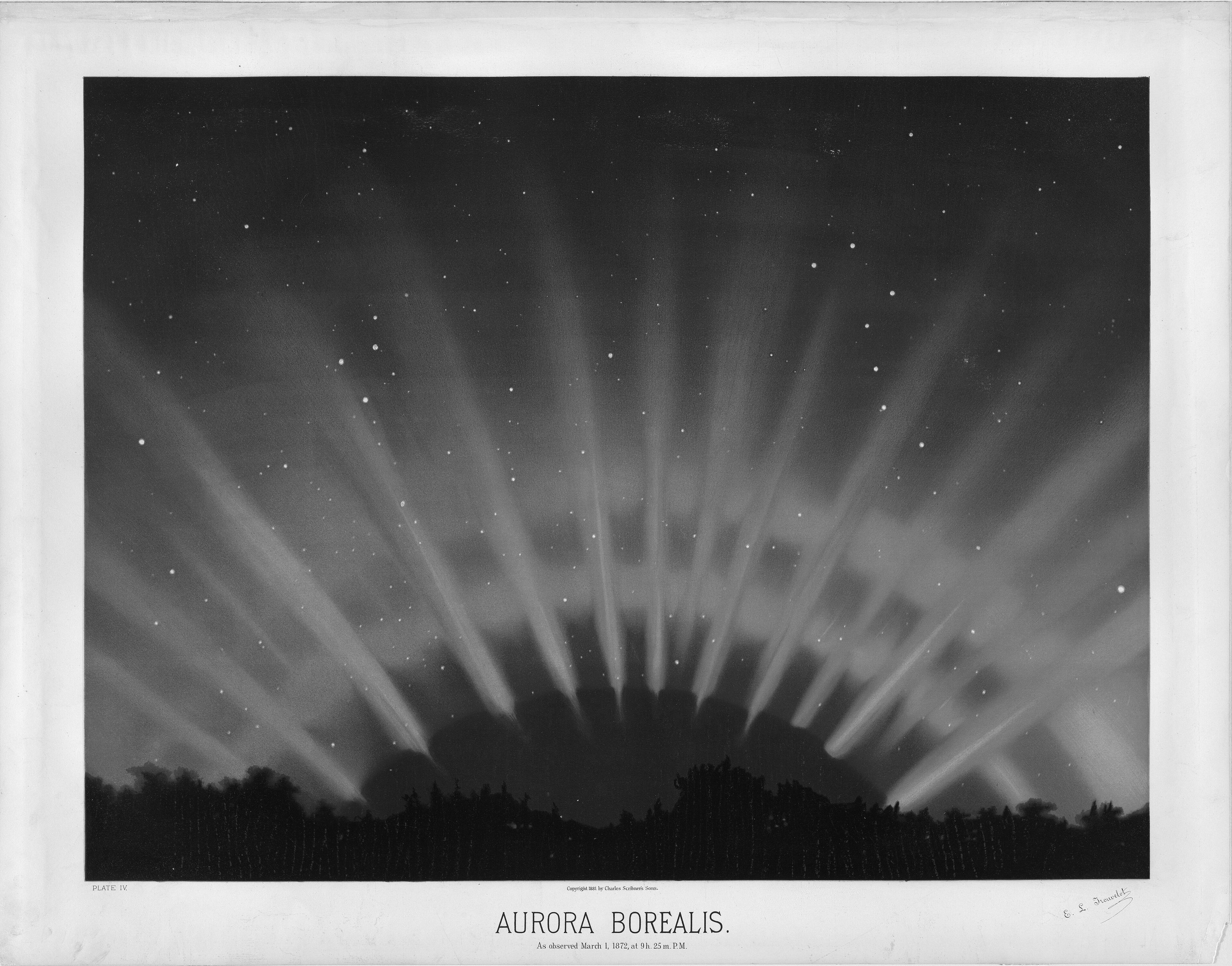 Trouvelot's drawing of the northern lights over a dark treeline